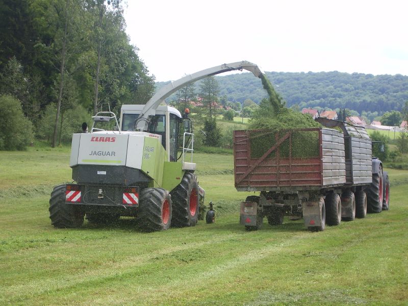 Claas Jaguar 900 mit Fendt Vario 926 TMS 03.jpg